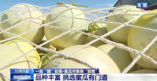 实盘配资平台有哪些 一颗瓜带火一条产业链&#32;甘肃民勤的蜜瓜还有这些新吃法