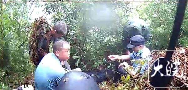炒股入门知识配资平台 舒城村民被马蜂蛰伤 驻村书记等多名救援人员也被蛰伤